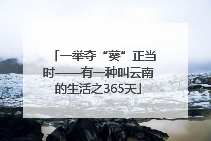 一举夺“葵”正当时——有一种叫云南的生活之365天