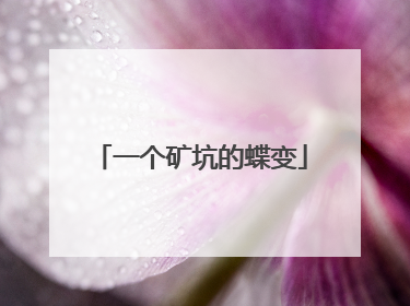 一个矿坑的蝶变