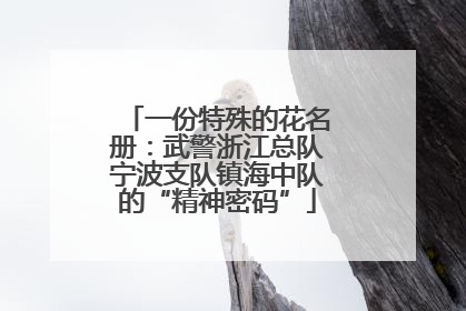 一份特殊的花名册：武警浙江总队宁波支队镇海中队的“精神密码”