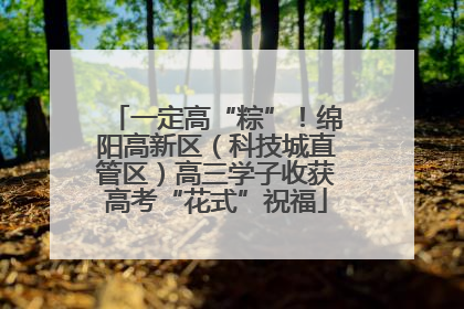一定高“粽”！绵阳高新区（科技城直管区）高三学子收获高考“花式”祝福