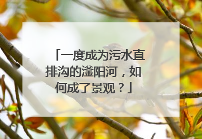 一度成为污水直排沟的滏阳河，如何成了景观？