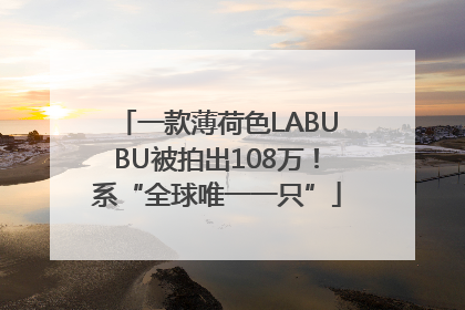 一款薄荷色LABUBU被拍出108万！系“全球唯一一只”