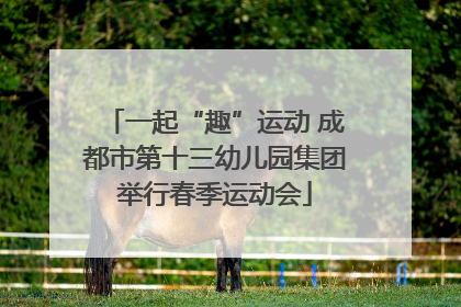 一起“趣”运动 成都市第十三幼儿园集团举行春季运动会