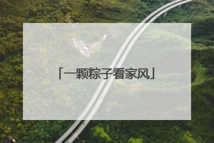 一颗粽子看家风