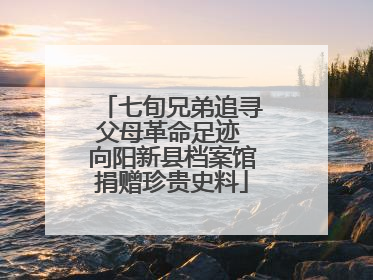 七旬兄弟追寻父母革命足迹 向阳新县档案馆捐赠珍贵史料