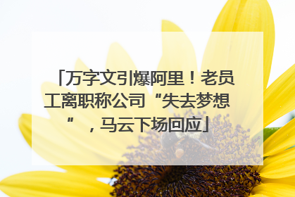 万字文引爆阿里！老员工离职称公司“失去梦想”，马云下场回应