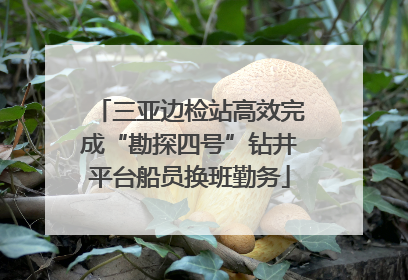 三亚边检站高效完成“勘探四号”钻井平台船员换班勤务