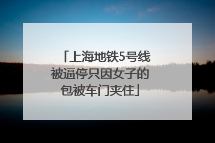 上海地铁5号线被逼停只因女子的包被车门夹住
