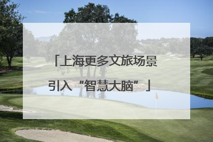 上海更多文旅场景引入“智慧大脑”