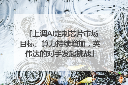 上调AI定制芯片市场目标、算力持续增加，英伟达的对手发起挑战