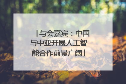 与会嘉宾：中国与中亚开展人工智能合作前景广阔