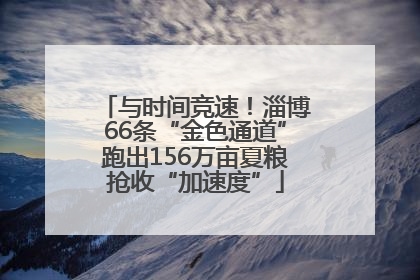 与时间竞速！淄博66条“金色通道”跑出156万亩夏粮抢收“加速度”