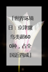 世界环境日：京津冀鸟类超600种，占全国近四成
