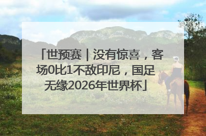 世预赛｜没有惊喜，客场0比1不敌印尼，国足无缘2026年世界杯
