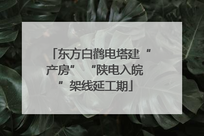 东方白鹳电塔建“产房” “陕电入皖”架线延工期