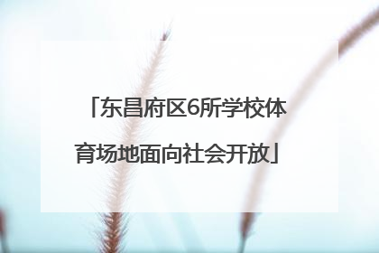 东昌府区6所学校体育场地面向社会开放