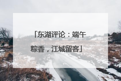 东湖评论：端午粽香，江城留客