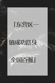 东营区一镇成功跻身全国百强
