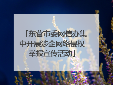 东营市委网信办集中开展涉企网络侵权举报宣传活动