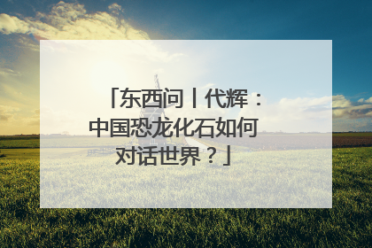 东西问丨代辉：中国恐龙化石如何对话世界？