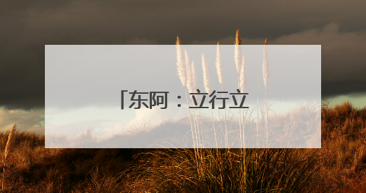 东阿：立行立改解难题 宅基证办理暖民心