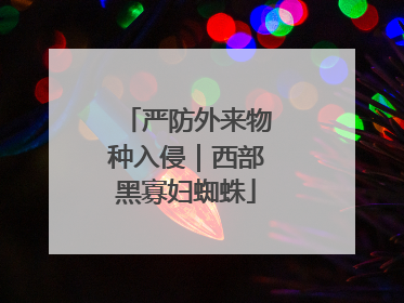 严防外来物种入侵｜西部黑寡妇蜘蛛