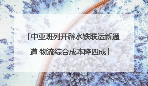 中亚班列开辟水铁联运新通道 物流综合成本降四成