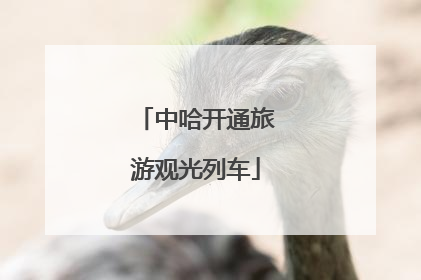 中哈开通旅游观光列车