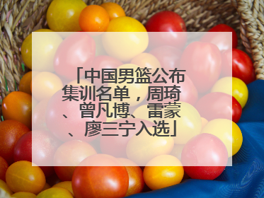 中国男篮公布集训名单，周琦、曾凡博、雷蒙、廖三宁入选