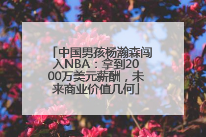 中国男孩杨瀚森闯入NBA：拿到2000万美元薪酬，未来商业价值几何