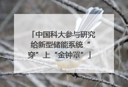 中国科大参与研究 给新型储能系统“穿”上“金钟罩”