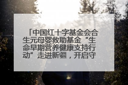 中国红十字基金会合生元母婴救助基金“生命早期营养健康支持行动”走进新疆，开启守护母婴新篇章！
