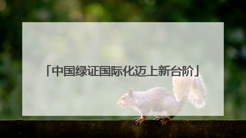 中国绿证国际化迈上新台阶