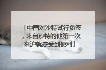 中国对沙特试行免签，来自沙特的他第一次来沪就感受到便利