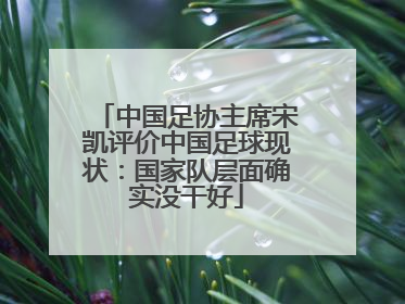 中国足协主席宋凯评价中国足球现状：国家队层面确实没干好