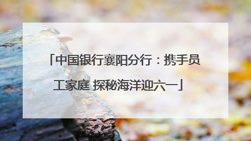 中国银行襄阳分行：携手员工家庭 探秘海洋迎六一