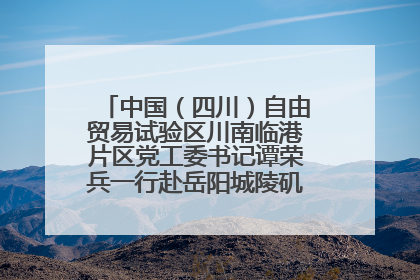 中国（四川）自由贸易试验区川南临港片区党工委书记谭荣兵一行赴岳阳城陵矶综保区考察