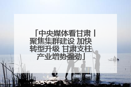 中央媒体看甘肃丨聚焦集群建设 加快转型升级 甘肃支柱产业增势强劲