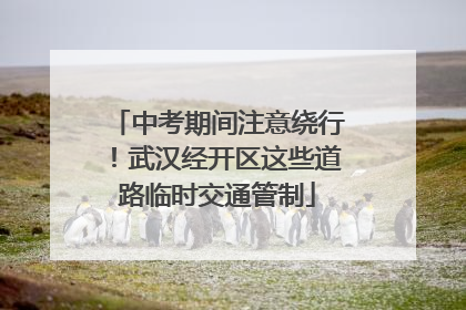 中考期间注意绕行！武汉经开区这些道路临时交通管制