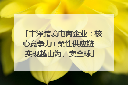 丰泽跨境电商企业：核心竞争力+柔性供应链 实现越山海、卖全球