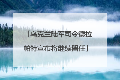乌克兰陆军司令德拉帕特宣布将继续留任