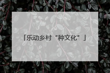 乐动乡村“种文化”