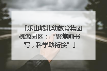 乐山城北幼教育集团桃源园区：“聚焦前书写，科学助衔接”