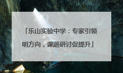乐山实验中学：专家引领明方向，课题研讨促提升