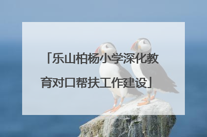 乐山柏杨小学深化教育对口帮扶工作建设