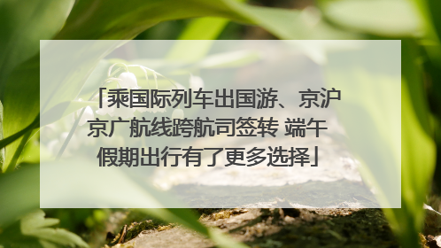 乘国际列车出国游、京沪京广航线跨航司签转 端午假期出行有了更多选择