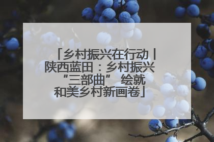 乡村振兴在行动丨陕西蓝田：乡村振兴 “三部曲” 绘就和美乡村新画卷