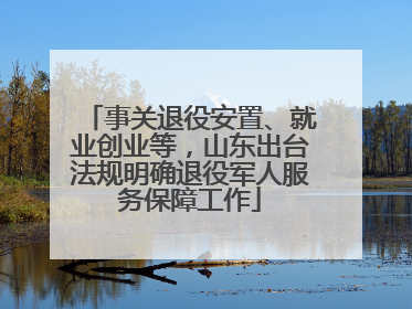 事关退役安置、就业创业等，山东出台法规明确退役军人服务保障工作