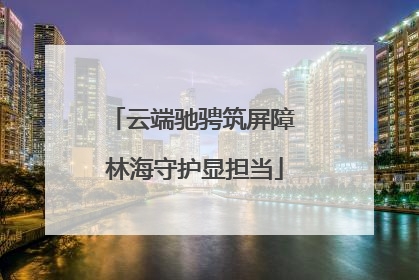 云端驰骋筑屏障 林海守护显担当
