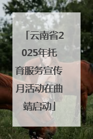 云南省2025年托育服务宣传月活动在曲靖启动